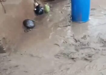 चिंताजनक: जोशीमठ के बाद पगनो गांव आया खतरे की जद में, हालात गंभीर।