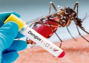 डेंगू के डंक ने मचाया हाहाकार, स्वास्थ्य विभाग के फूले हाथ पांव।
