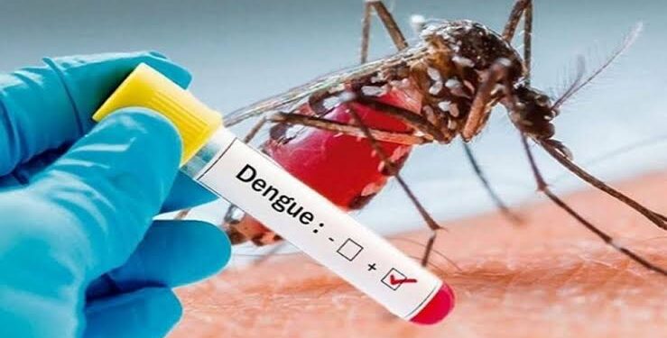 डेंगू के डंक ने मचाया हाहाकार, स्वास्थ्य विभाग के फूले हाथ पांव।