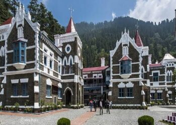 Nainital High court: आउटसोर्स कर्मियों को नहीं हटा सकेगा वन विभाग, कोर्ट ने लगाई रोक, 3 जनवरी को होगी अगली सुनवाई