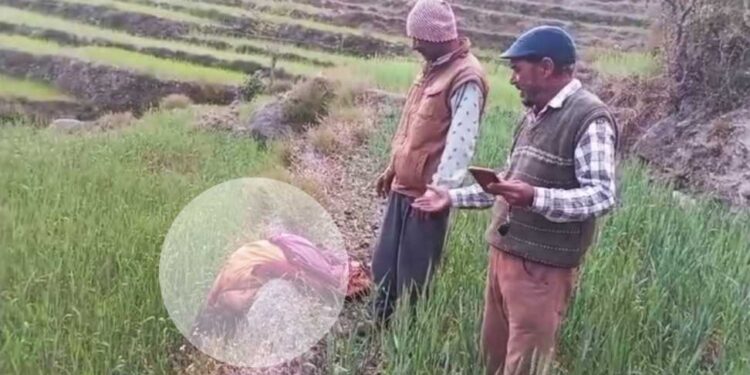 उत्तराखंड में बाघ का कहर: जखोली में महिला की दर्दनाक मौत से सहमे लोग