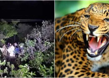 उत्तराखंड में गुलदार की देहशत घटना: क्रिकेट खेलकर घर लौटे की कोशिश की गयी जान