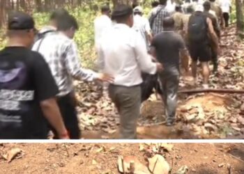 वनविभाग के नाक के नीचे 40 बीघा जंगल पर कब्जा, कई पेड़ काटे, ऋषिकेश का अग्रवाल बताया जा रहा कब्जाधारी…