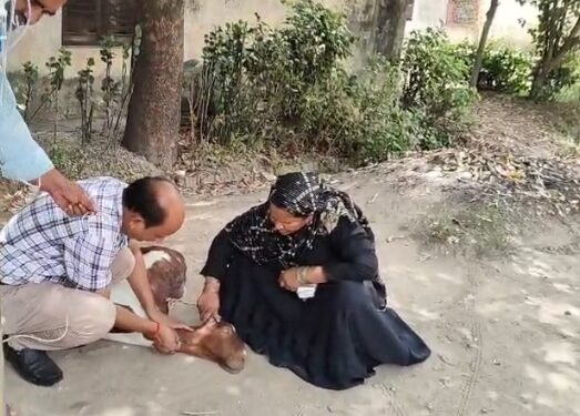 ईद से पहले बकरे होने लगे बीमार, इलाज के लिए पहुंच रहे अस्पताल।