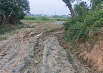 दून में नहीं थम रहा अवैध प्लॉटिंग का सिलसिला, गरजेगा MDDA का बुलडोजर