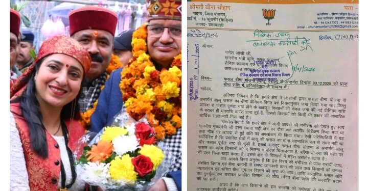 आपदा में उजड़ी आलू की फसल, बीमा योजना बनी किसानों के लिए छलावा?