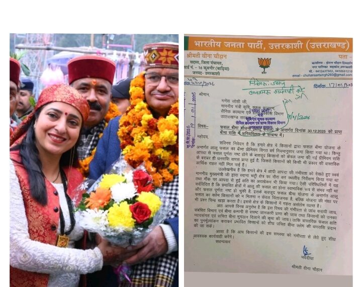 आपदा में उजड़ी आलू की फसल, बीमा योजना बनी किसानों के लिए छलावा?