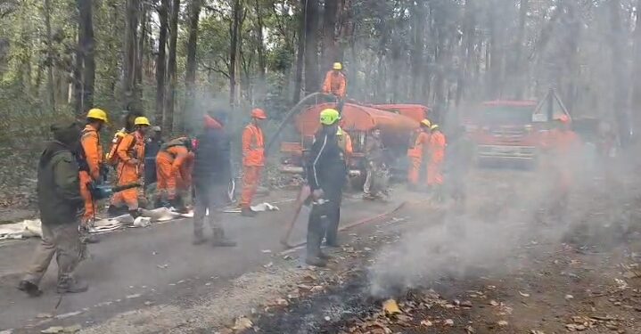 Uttrakhand forest: वनाग्नि से निपटने को राज्यभर में मॉक ड्रिल, 13 जिलों के 41 वन प्रभागों में एक साथ अभ्यास