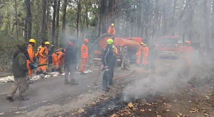 Uttrakhand forest: वनाग्नि से निपटने को राज्यभर में मॉक ड्रिल, 13 जिलों के 41 वन प्रभागों में एक साथ अभ्यास